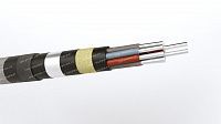 Кабель АКПсВБ 10х6